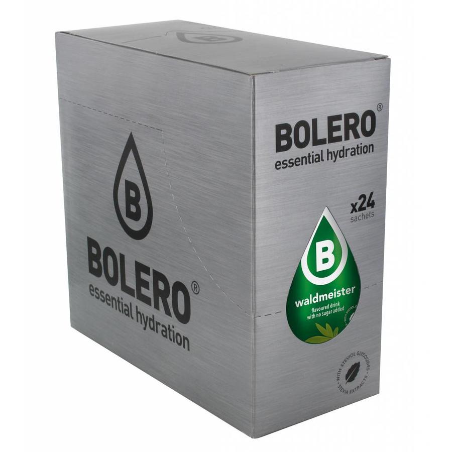Bolero Drink Box 24 Waldmeister